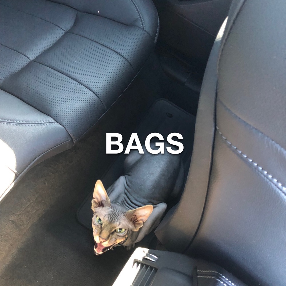 Bags/Wallets/Bag charms/Make up bags